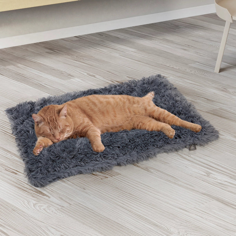 Cat lying on a cat bed