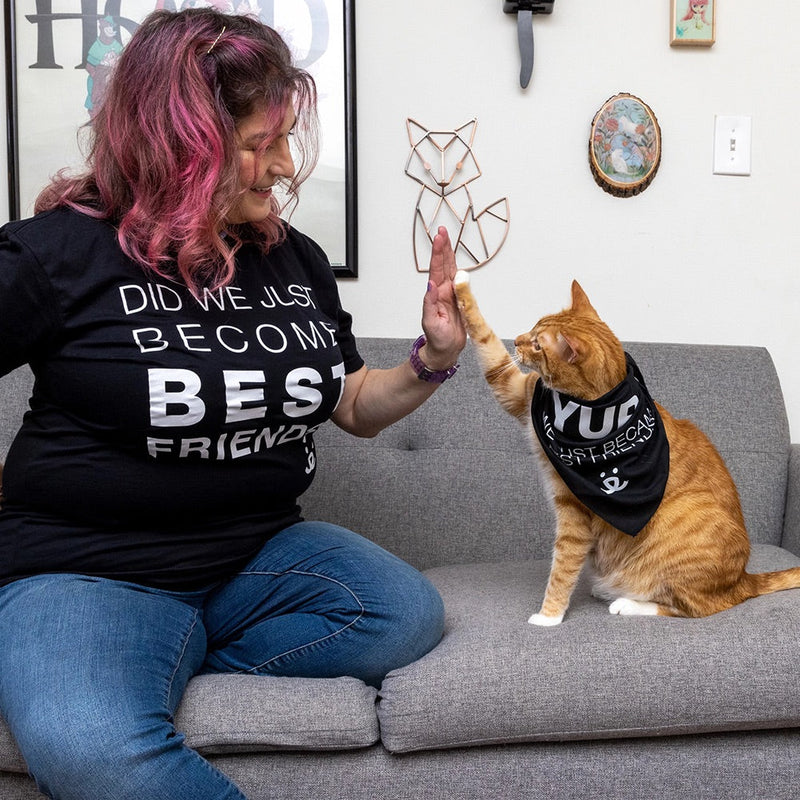 cat high five with human