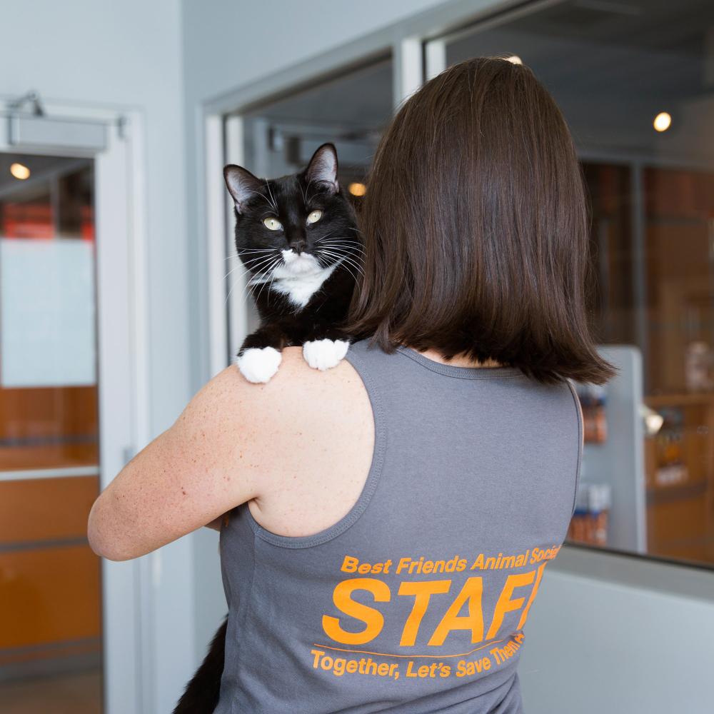 Person in BFAS Staff tank top with cat on shoulder