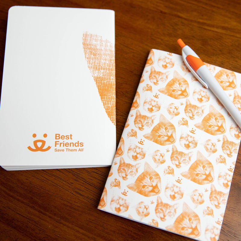 Two best friends happy cat journals