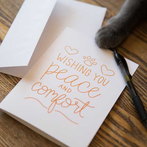 Cats paw on greeting card