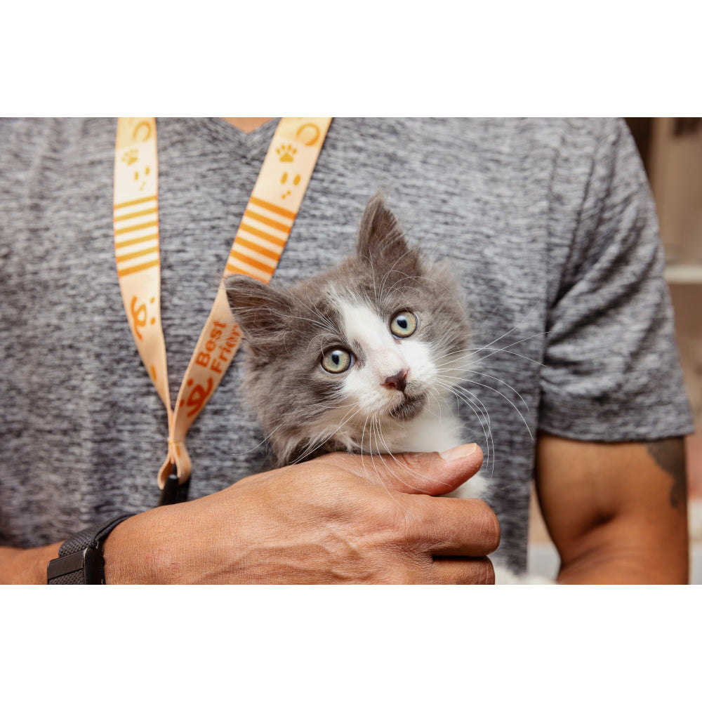 Someone holding a cat wearing a Best Friends Animal Society lanyard