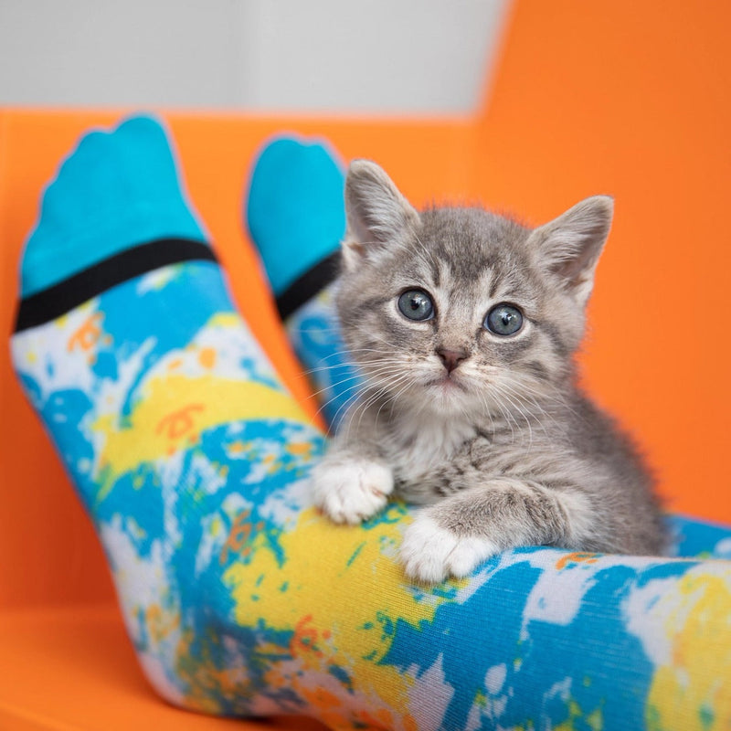 Kitten sitting on a socked foot looking at the camera