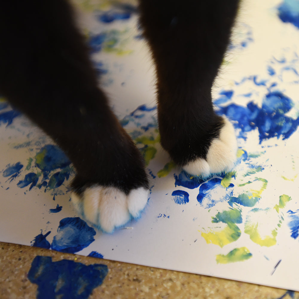 Cat paw painting