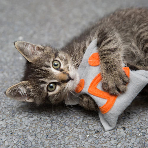 For Cats