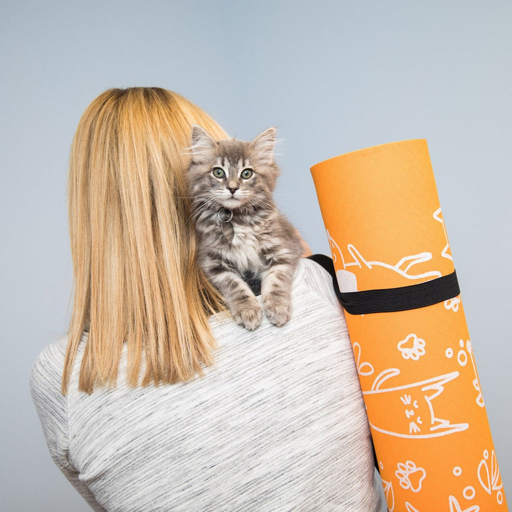 Cat looking over someone's shoulder next to a cat yoga mat
