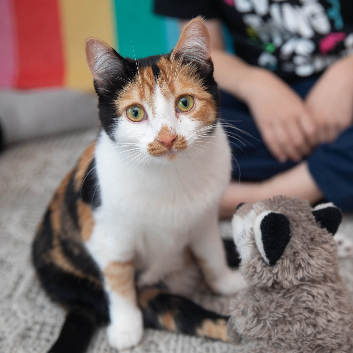 Gift Catalog Foster Care Package Best Friends Store