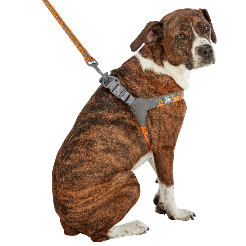 Dog model is wearing size LG
