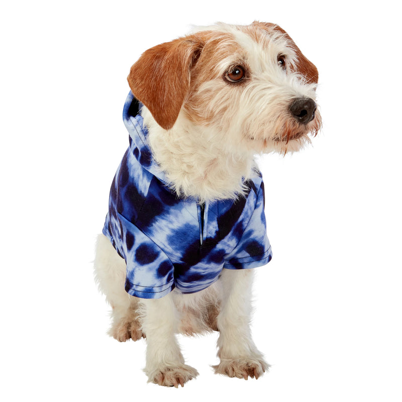 Dog model is wearing size SM