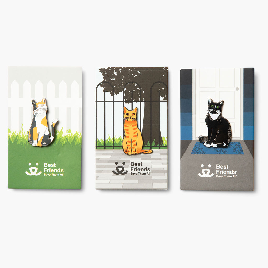 all three cat pin options are shown. Calico cat, orange tabby cat and black tuxedo cat on their cards.