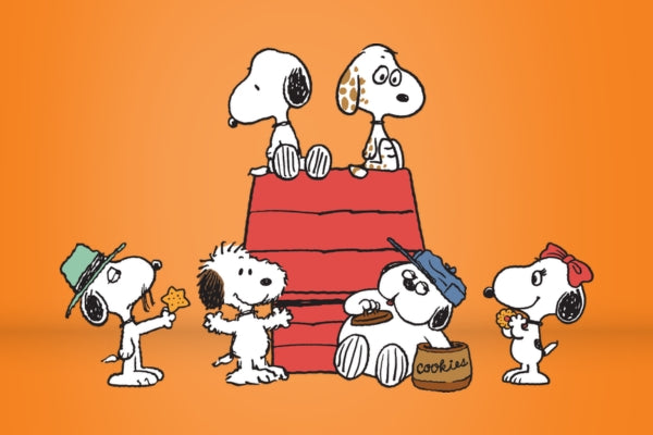 Peanuts X Best Friends
