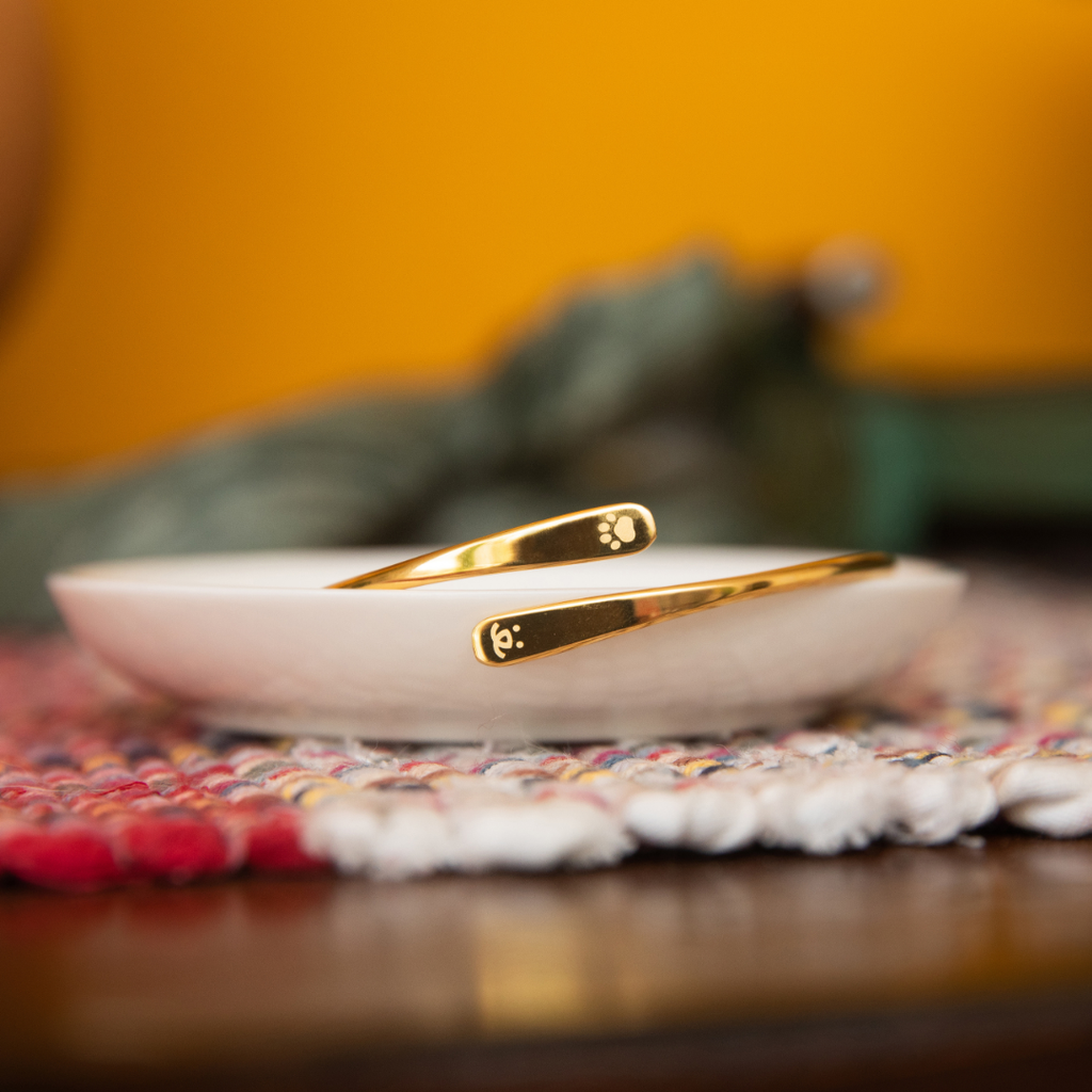 Gifts & Accessories