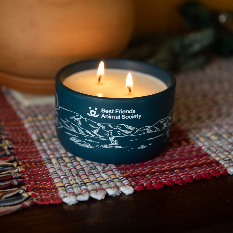 Best Friends branded Lucite Acrylic Frame