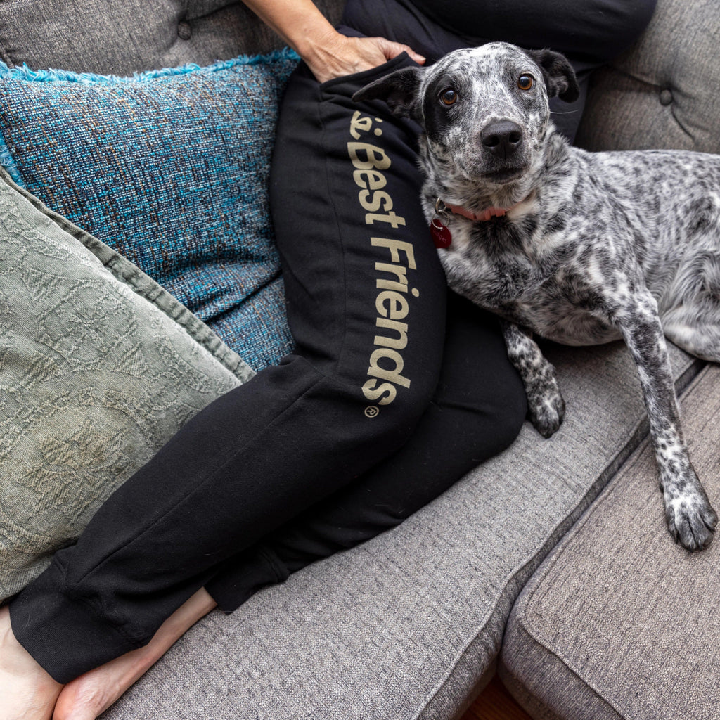 Dog snuggled with Best Friends Animal Society sweatpants