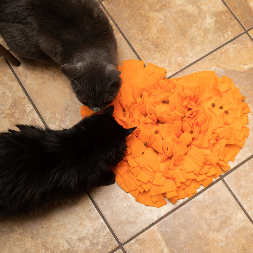 Cats interacting with "Heart Foraging Mat"