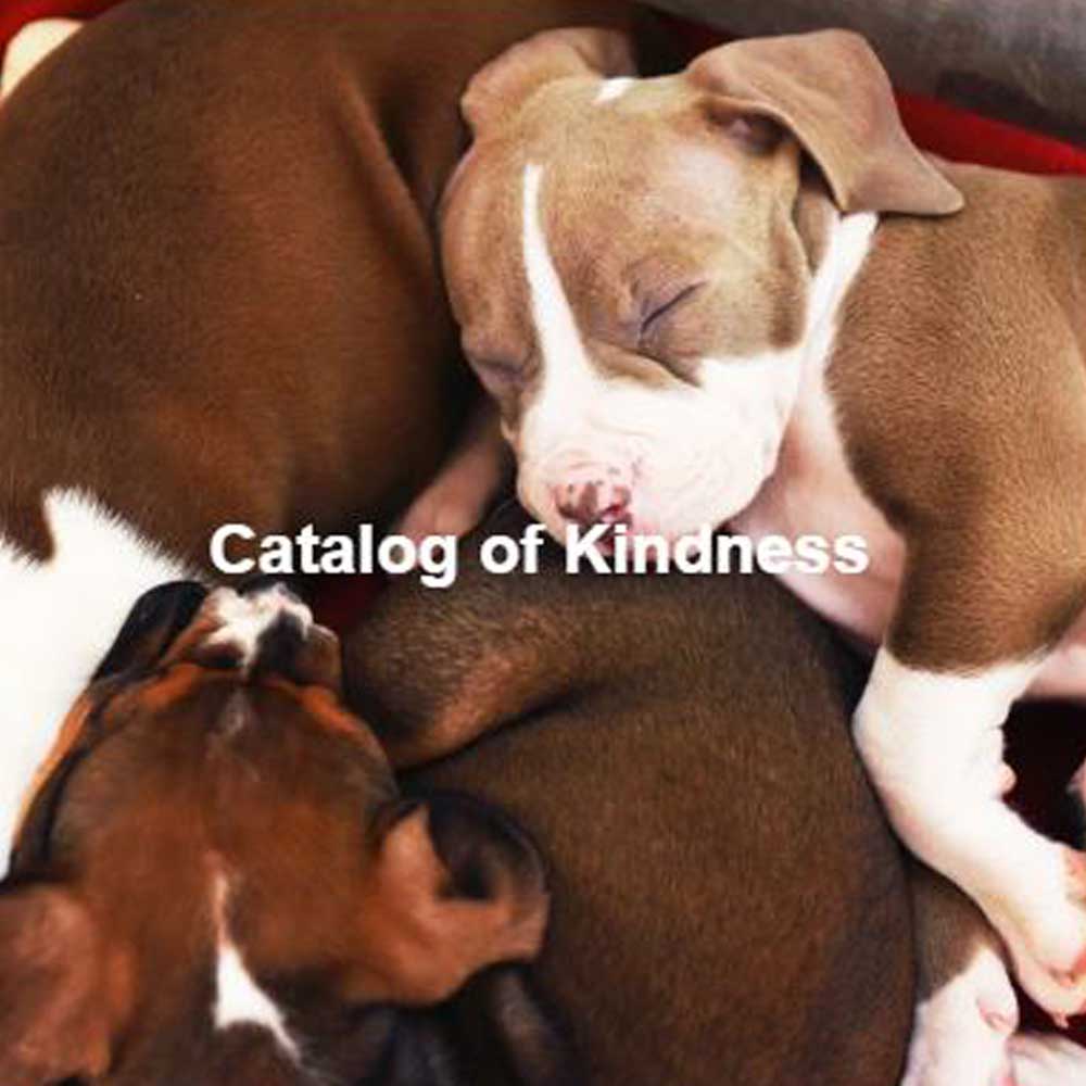 Catalog of Kindness