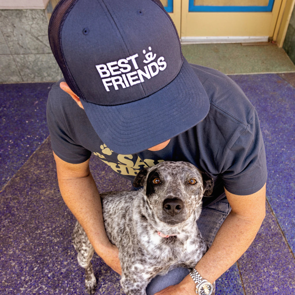 Person in "Fest Friends" hat with a dog