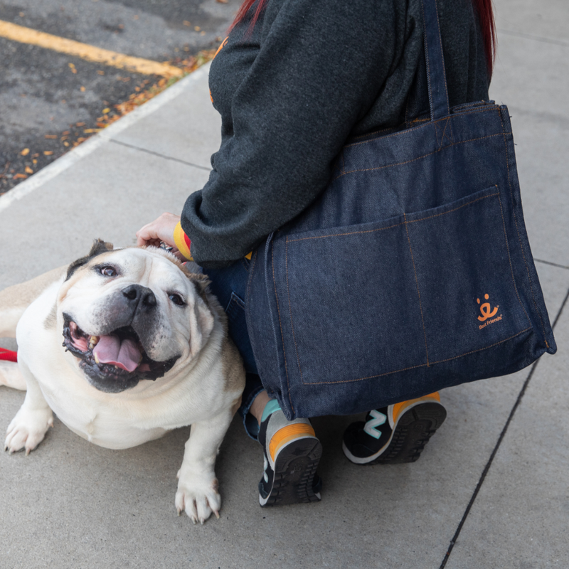 Denim Tote, Running Errands for my Best Friend – Best Friends Store Denim Tote, Running Errands for my Best Friend – Best Friends Store