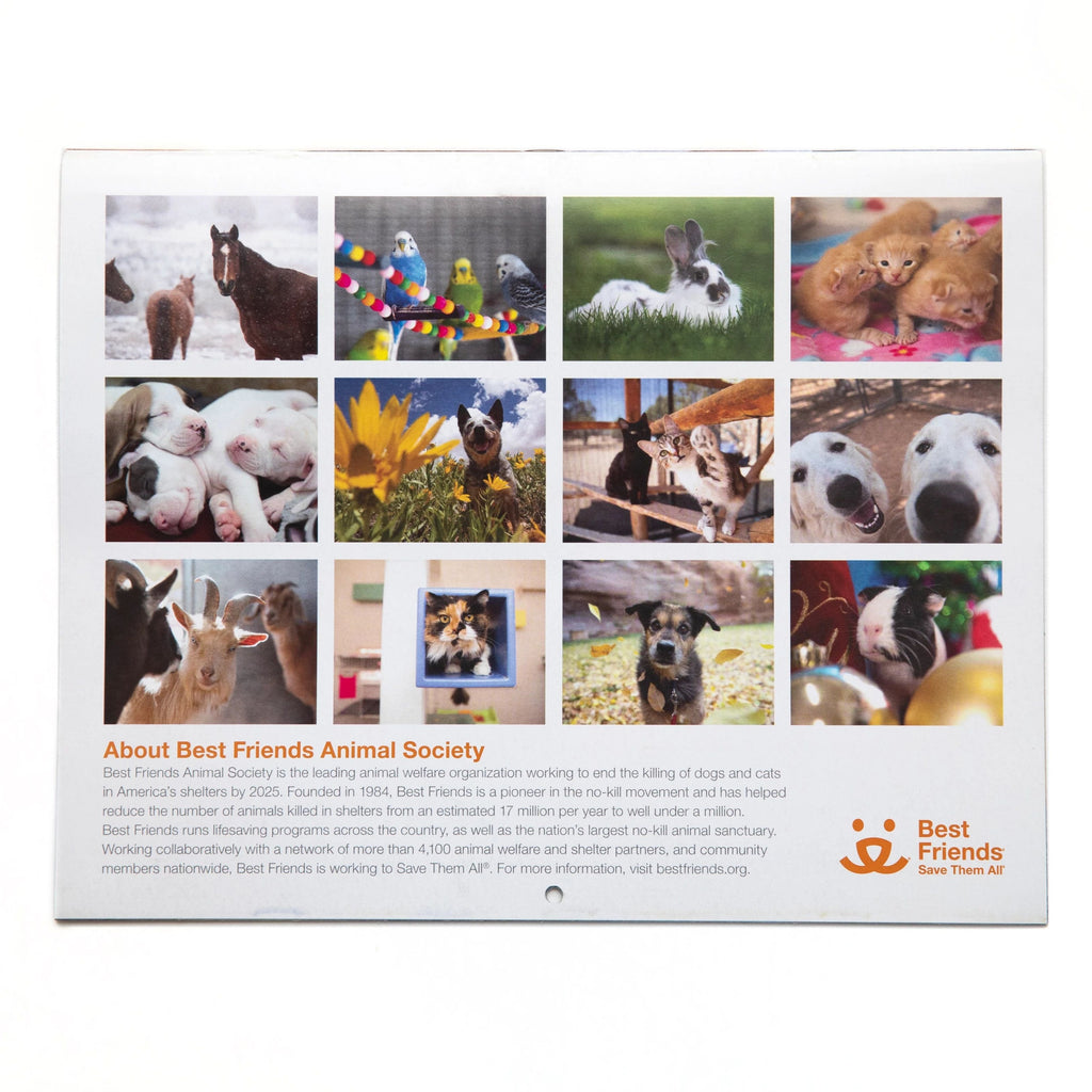 2024 Membership Calendar Best Friends Store 2024-membership-calendar-best-friends-store