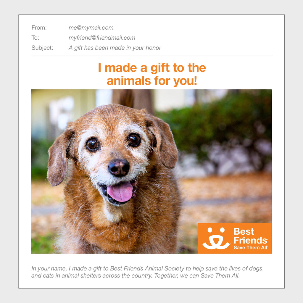 Gift Catalog: Dog Enrichment Toys – Best Friends Animal Society's Catalog  of Kindness