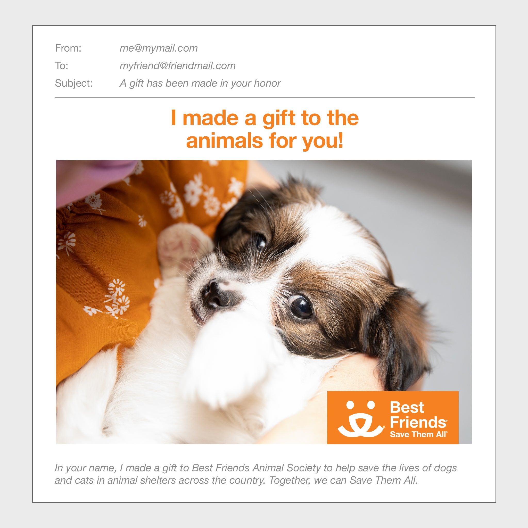 Gift Catalog Puppy Care Package Best Friends Store
