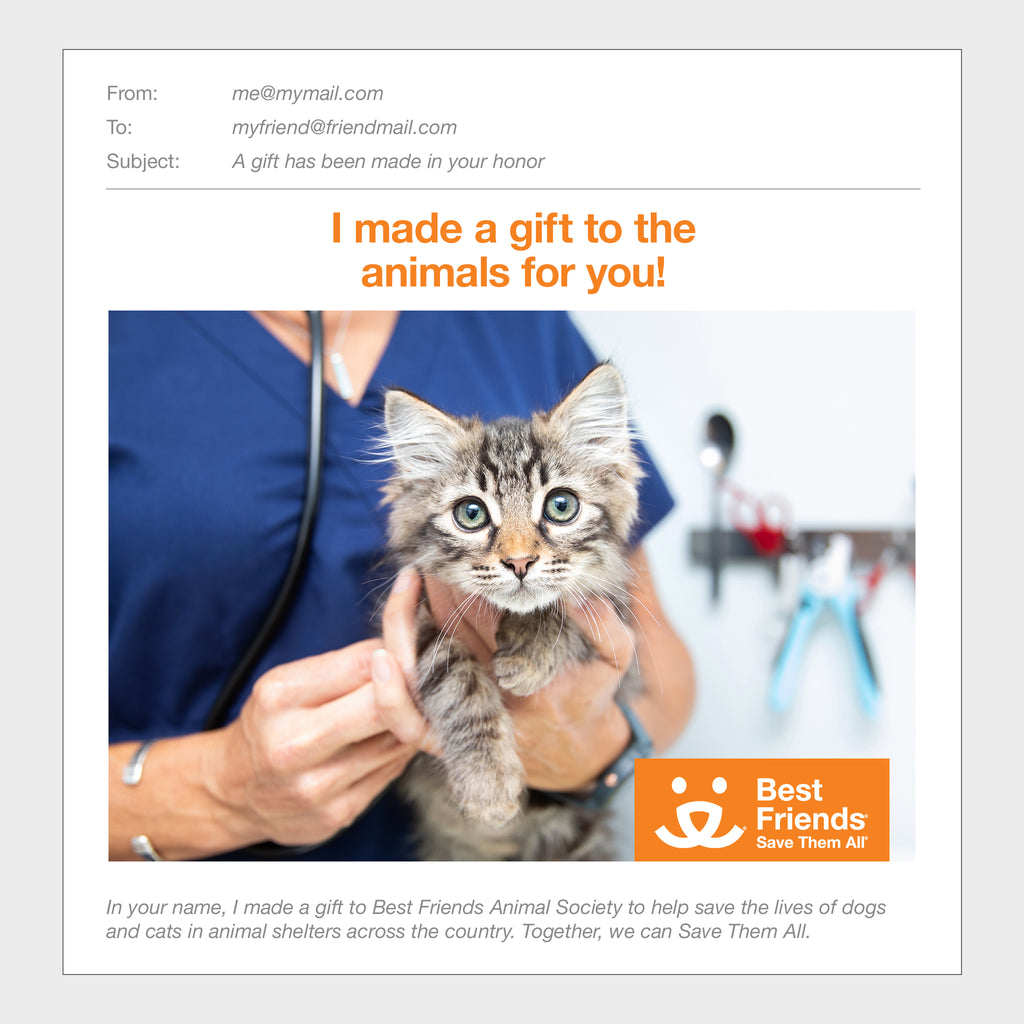 Gift Catalog: Puppy Care Package – Best Friends Animal Society's