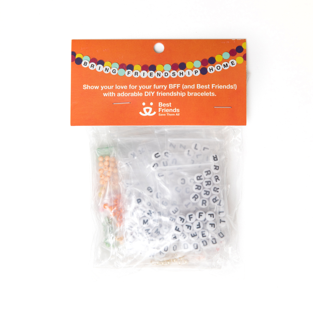 Bracelet Kit Cool Best Friend Bracelets Best Friends DIY