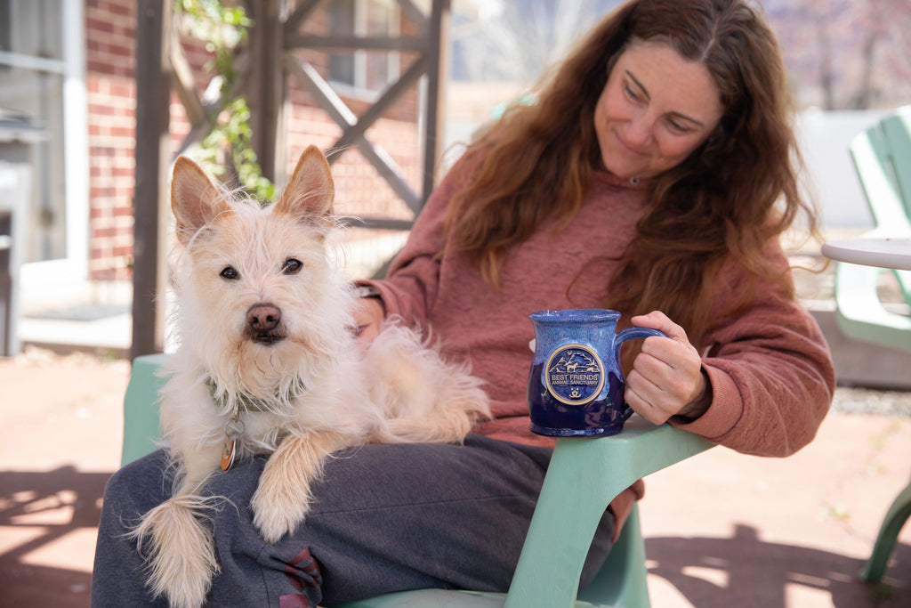 Support the animals with every sip from our new pottery mugs!