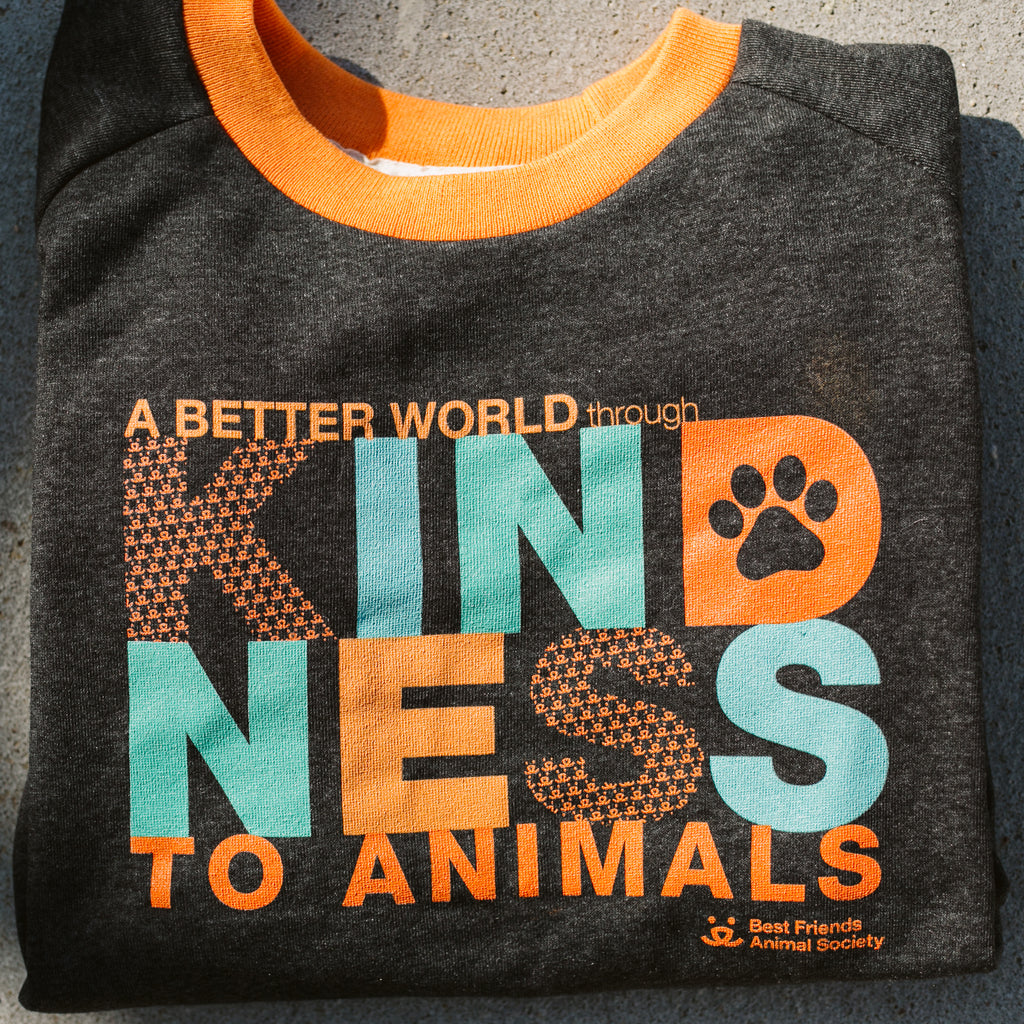 Kindess Comp Jacket Best Friends x CAMP Collection Kindness Sweatshirt – Best Friends Store