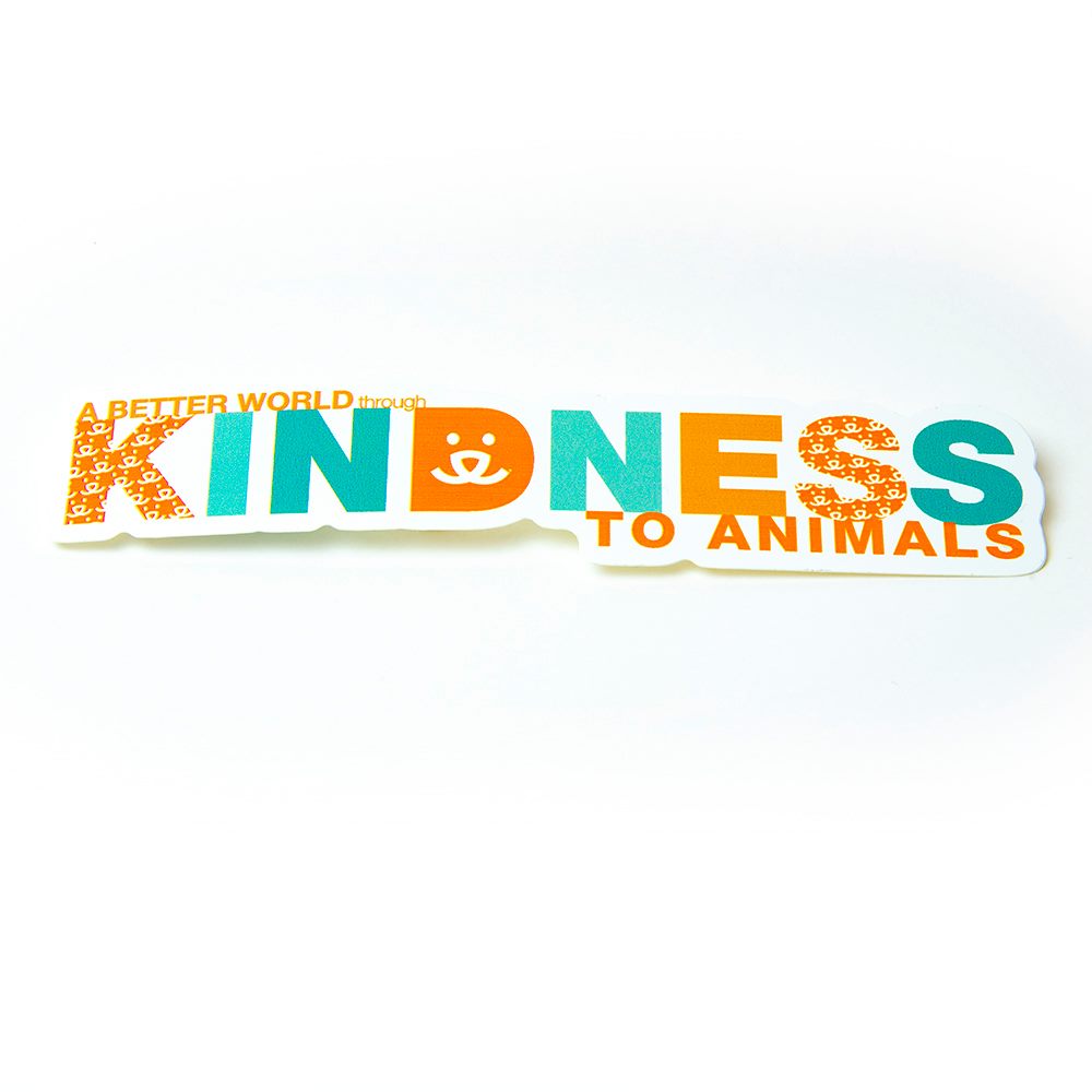 Kindness Collection Best Friends Store