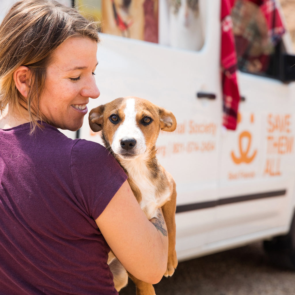 Catalog of Kindness Best Friends Store