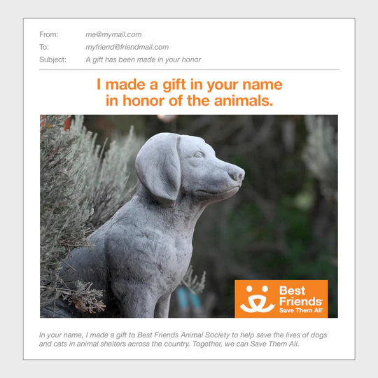 Gift Catalog: Puppy Care Package – Best Friends Animal Society's