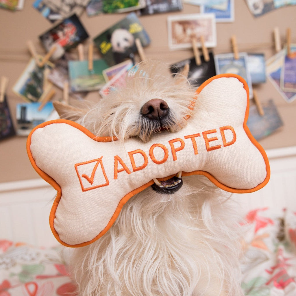 Gift Catalog: Dog Enrichment Toys – Best Friends Store