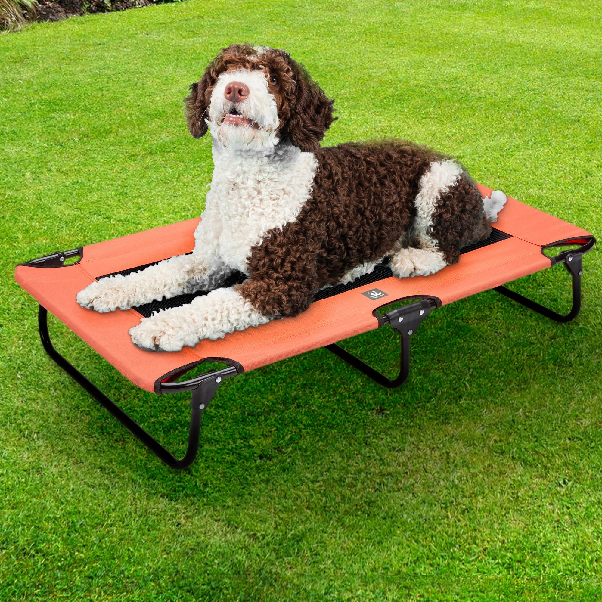 Folding Pet Cot w/Collapsible bowl
