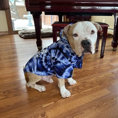 Bobo, 70 lbs, wearing size XL