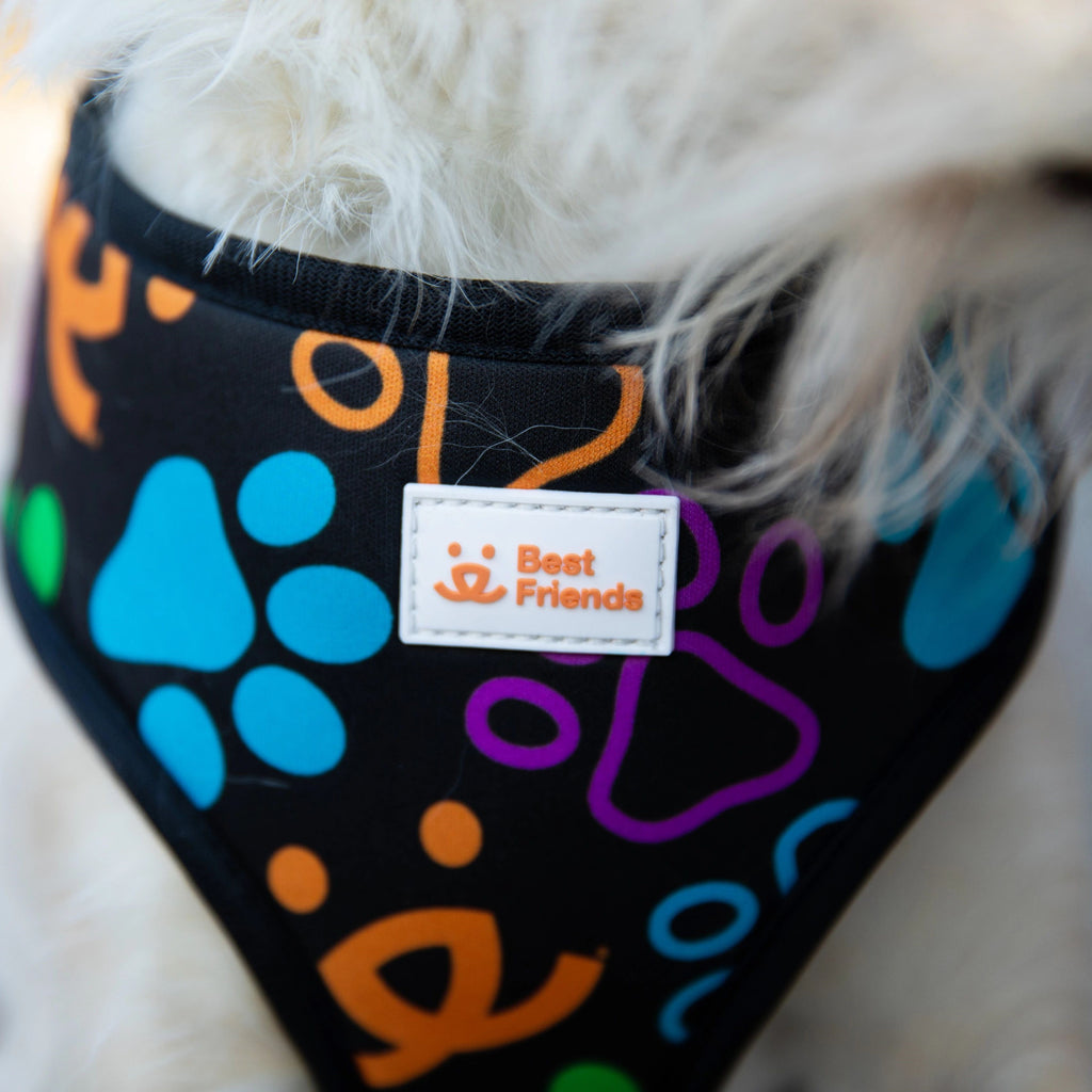 Best Friends Dog Collar – Best Friends Store
