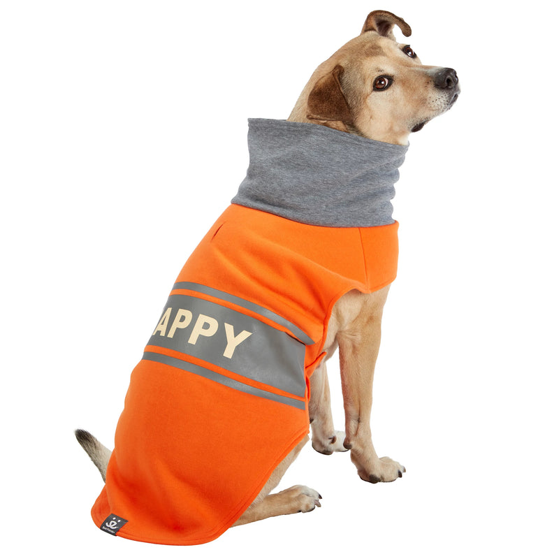 Dog model is wearing size XL