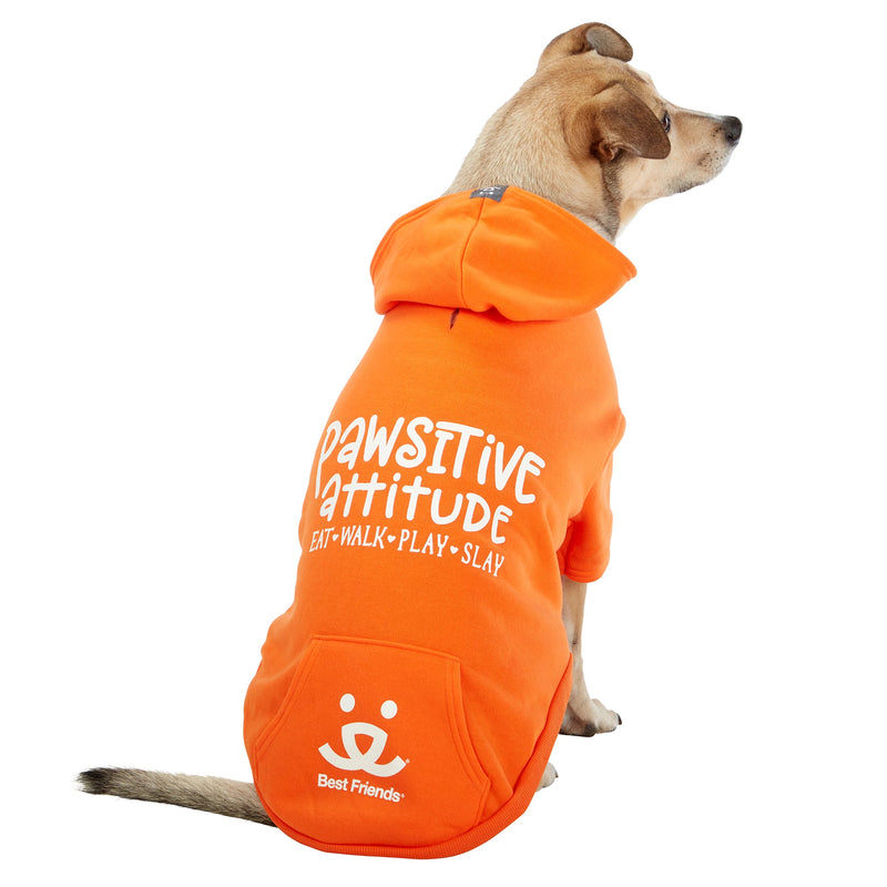 Dog model is wearing size XL