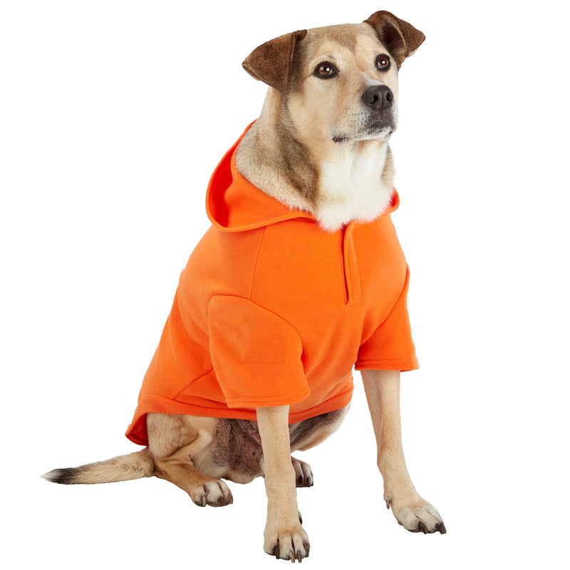Dog model is wearing size XL