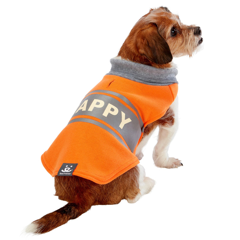 Dog model is wearing size XS