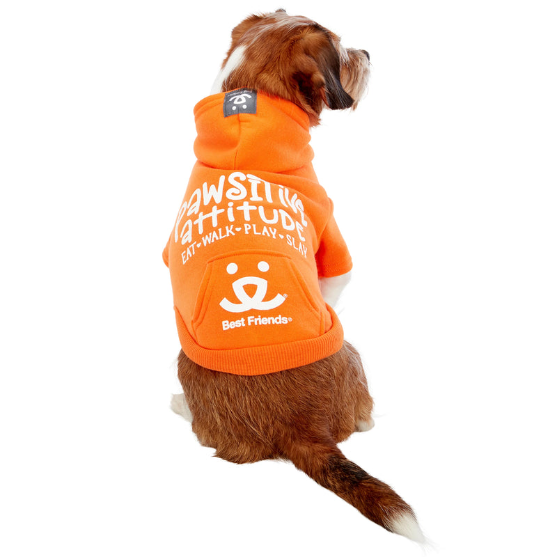 Dog model is wearing size XS