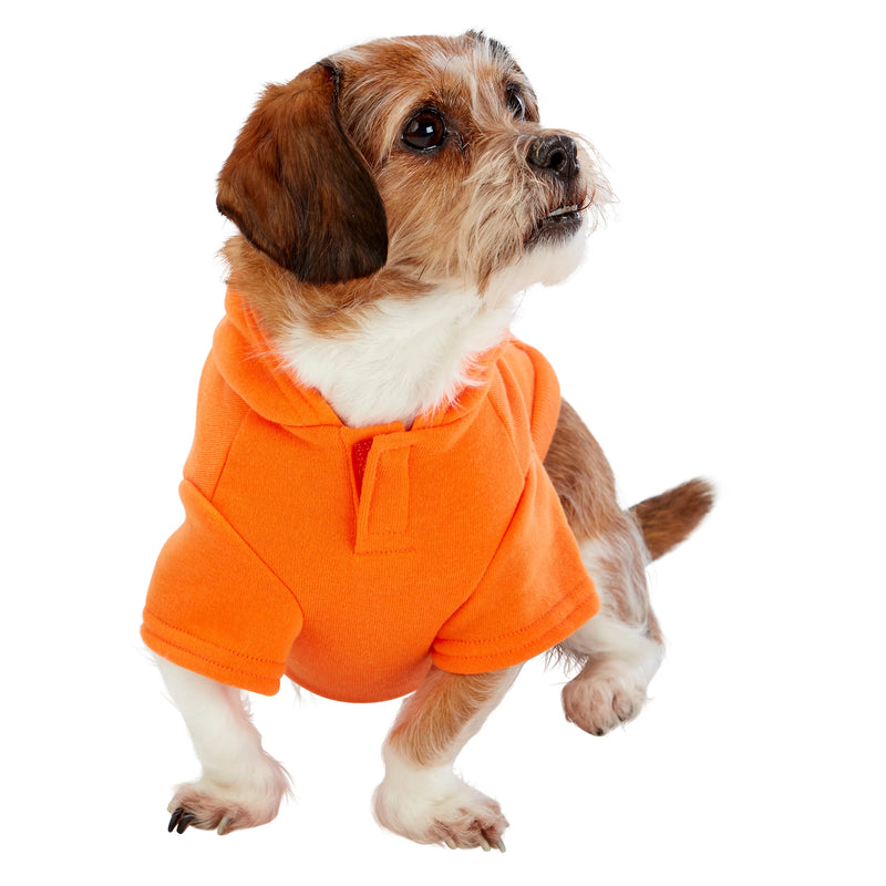 Dog model is wearing size XS