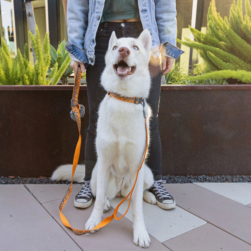 Ghost, wearing size MD