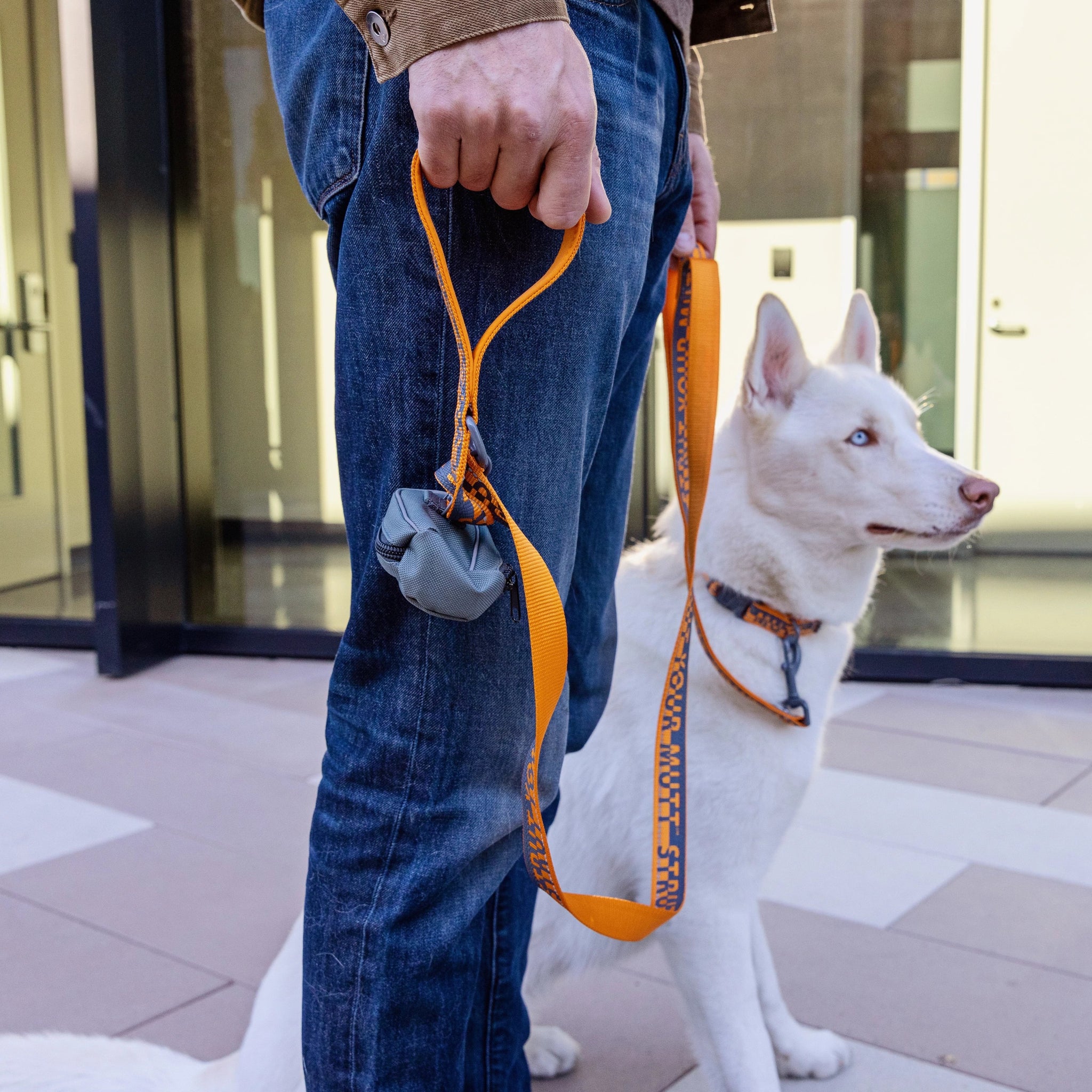 6 ft Dual Handle Comfort Leash Best Friends Store