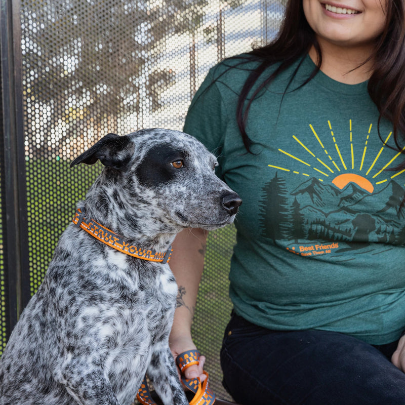 Gidget, 38 lbs, wearing size MD