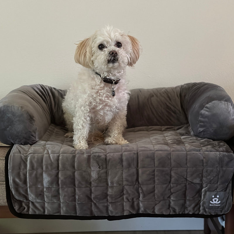 Duncan loves the Couch Cover with Bolster, it's his new favorite!