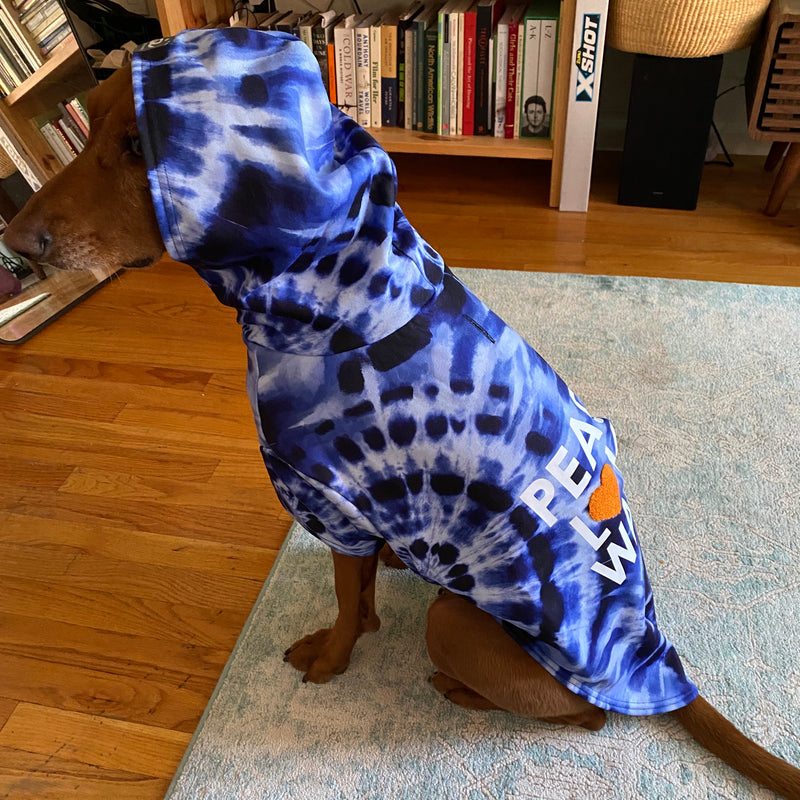 Penny, 47 lbs, wearing size XL