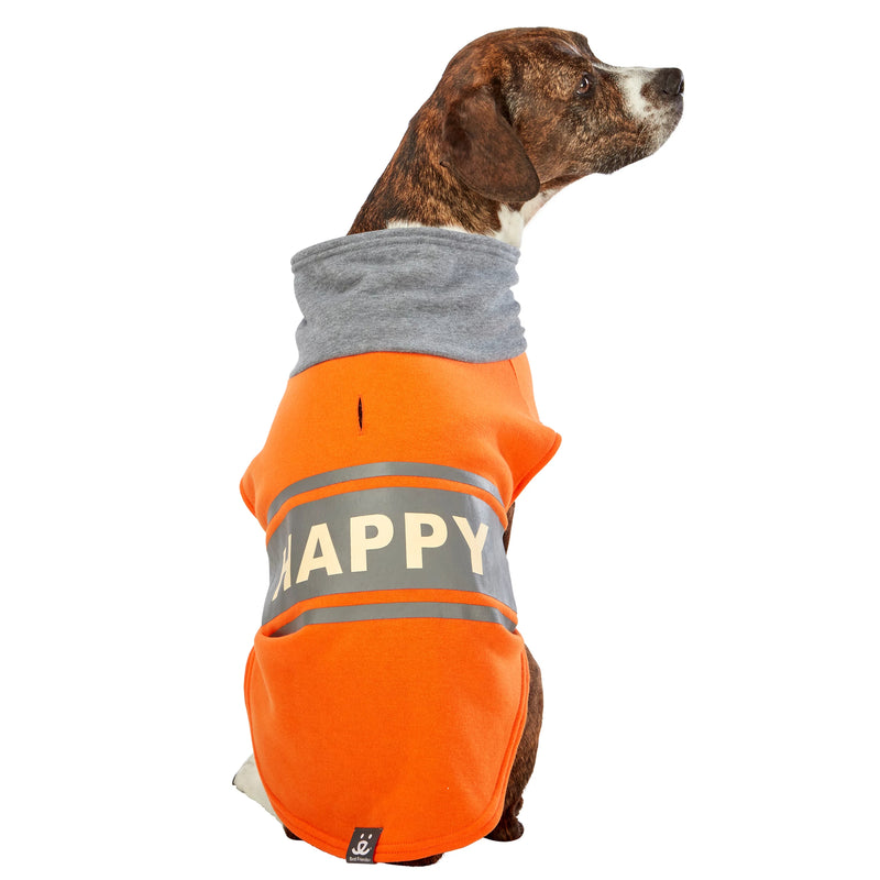 Dog model is wearing size LG