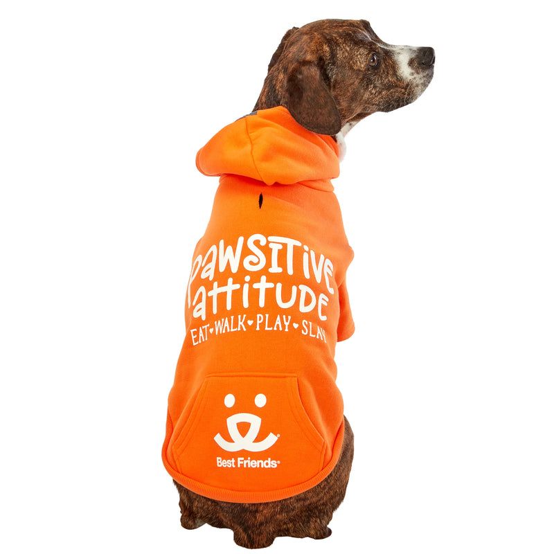 Dog model is wearing size LG