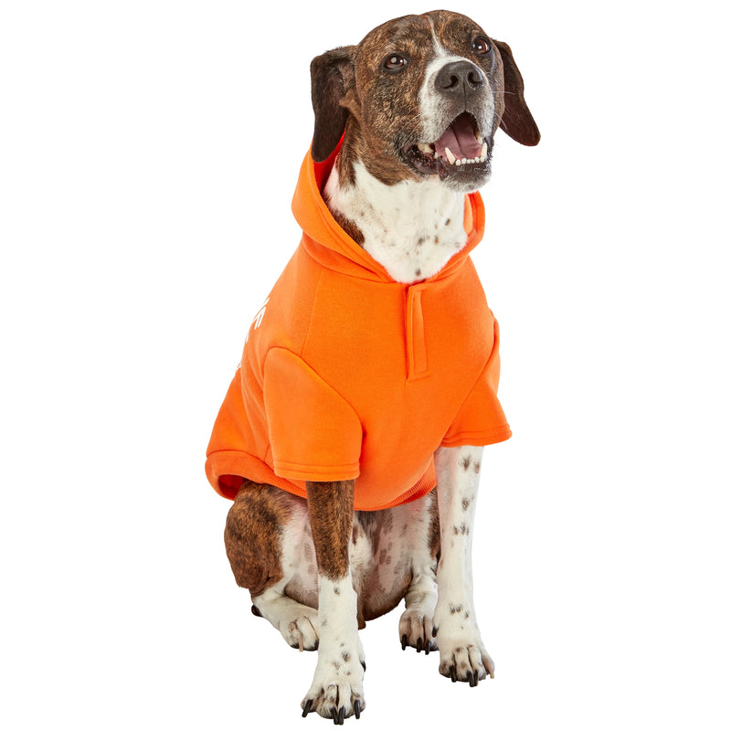 Dog model is wearing size LG